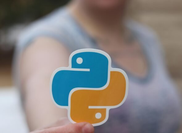 python developer